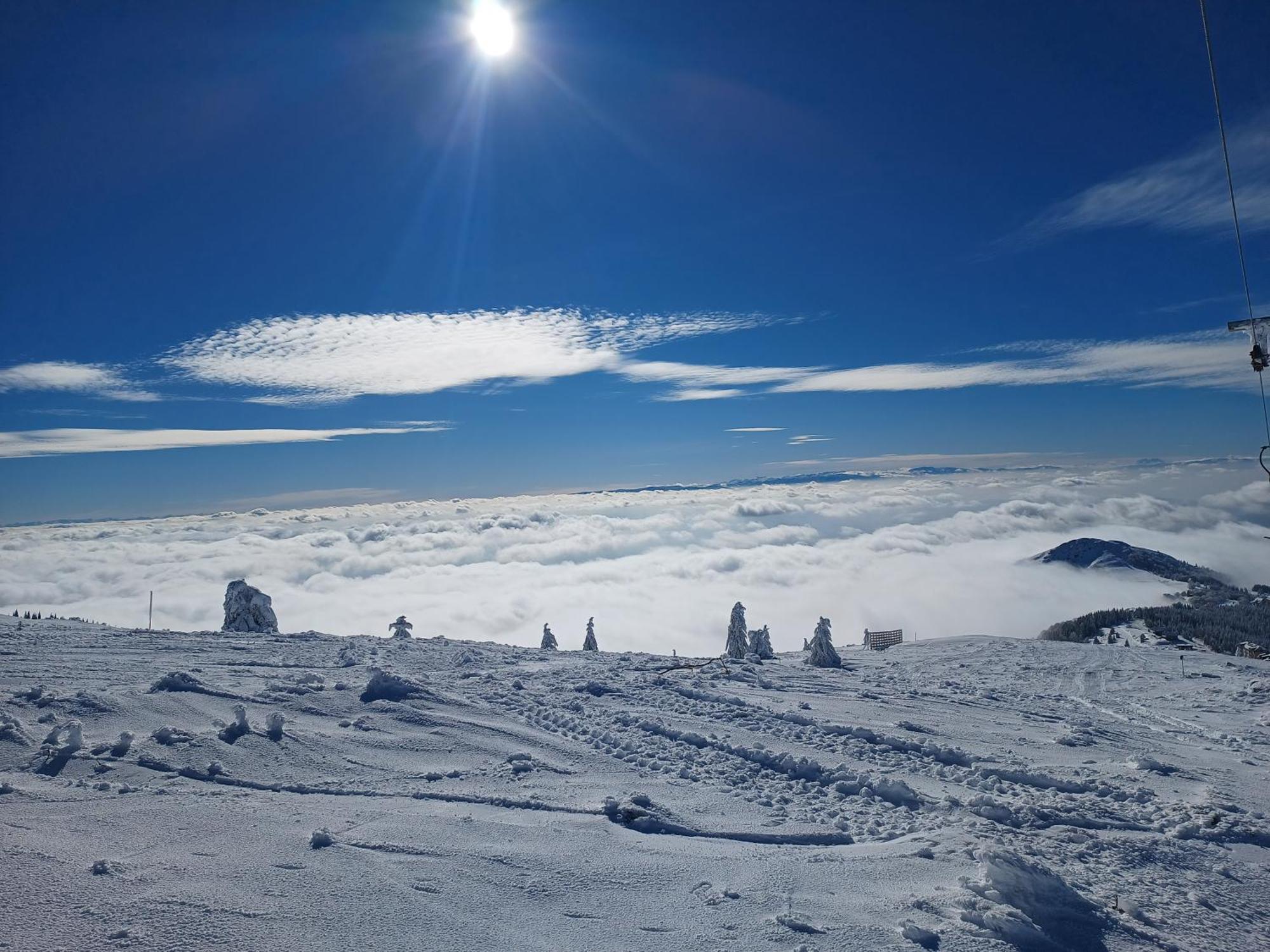 Kuca Za Odmor "Djurovic" Apartment Kopaonik Cameră foto
